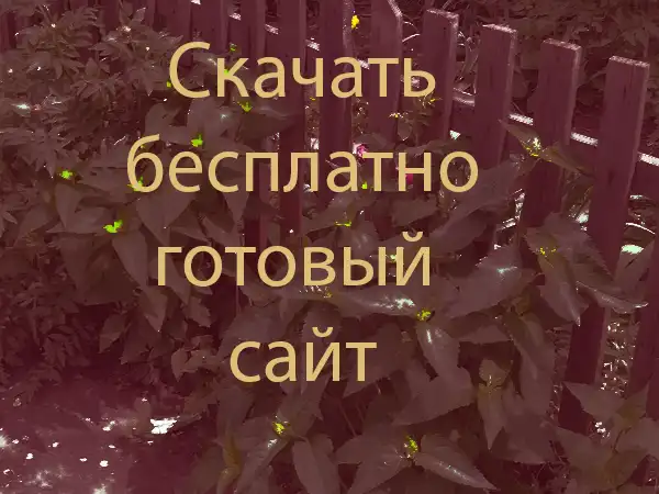 готовый сайт