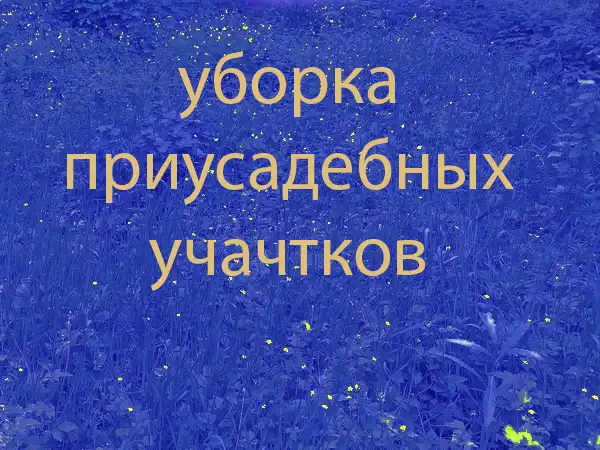 Скачать готовый сайт